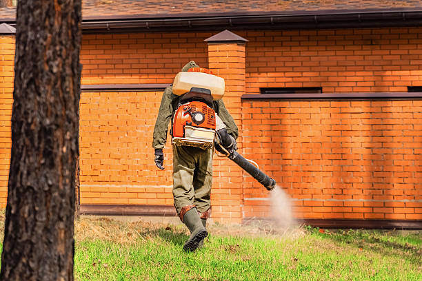 Trusted Rodent Control service in Walnut Grove, GA - Nex Pest Control